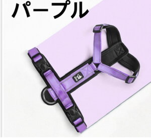 yԌSALEI2,280~2,080~IIzy14܂ł̒mŔsqɂ蓖Iz@p@n[lX@@v@hbOn[lX@^@^@^@n[lX