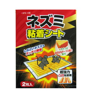 y10/5() Iōő100%|CgobN vGg[zlY~ SV[g@@2 ˂݋쏜 ˂ݕ߂ ΍ ObY 쏜 R[i