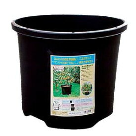 楽天市場 コーナン 植木鉢 プランター ガーデニング 農業 花 ガーデン Diyの通販 楽天市場 コーナン 植木鉢 プランター ガーデニング 農業 花 ガーデン Diyの通販
