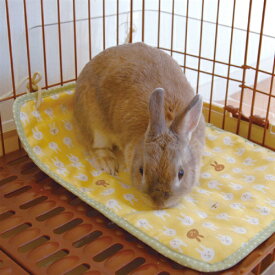 無料ダウンロードうさぎ 掘る おもちゃ 最高の動物画像