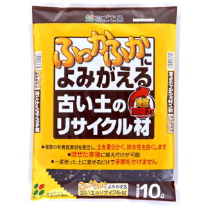 y|Cg3{ 10/30`10/31܂ŁzԂ ÂỹTCNށ@10L