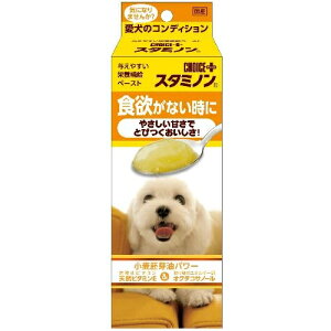 A[XoCIP~J `CXvXX^~m@H~ȂɁ@₳ÂłƂтI40g