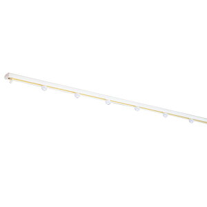 y11/25() Iōő100%|CgobN vGg[z}C@1D82m J[e[ J[e p[c TOSO g[\[