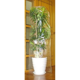 楽天市場 観葉植物 保温の通販