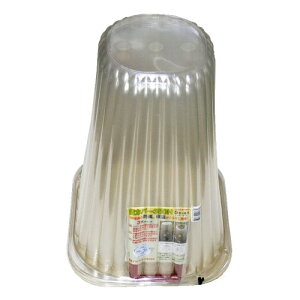 y|Cg3{ 12/10`12/11 1:59܂Łzp[̔ cJo[@350H5g