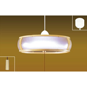 TAKIZUMI LEDay_g@SPV40002