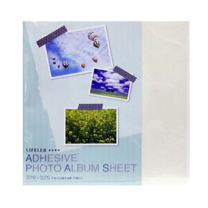 y11/25() Iōő100%|CgobN vGg[zAo ւ䎆@5@GU14|2531 ʐ^ e t[䎆 R[i