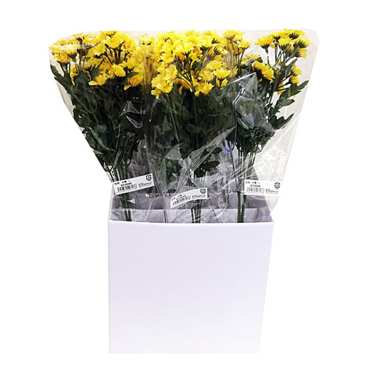 楽天市場 コーナン オリジナル 仏花 小菊 ９３３０４９ ｙｌ コーナンｅショップ 楽天市場店