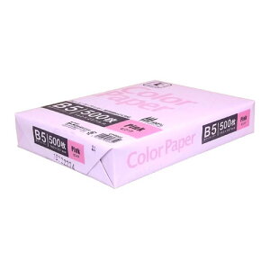 B5J[y[p[500@CPP004 Rs[p J[Rs[p sN b5 500 ppcp R[i