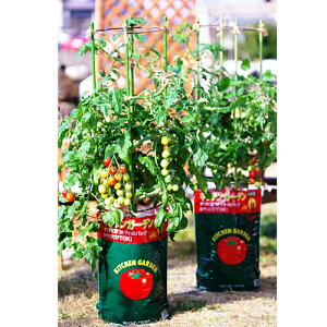 用土 トマトの土の人気商品 通販 価格比較 価格 Com