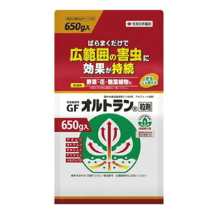 y11/25() Iōő100%|CgobN vGg[zZFw| Ig܁@650g