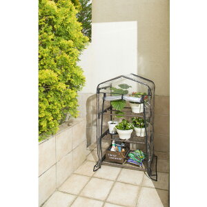 LIFELEX O[nEX3iirj[j@LFX09|0884 ŒI3iiIsj