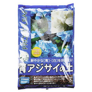 y|Cg3{ 10/30`10/31܂Łzvg[t AWTC̓y 5L