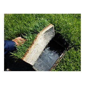 ��J�}�e���A���@���b�N�E�[���}�b�gN�^�C�v ��579X���s279X����13mm