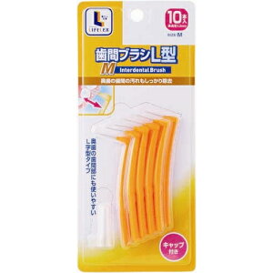 y12/5() Iōő100%|CgobN vGg[zR[i IWi ԃuV@L^@10{@M