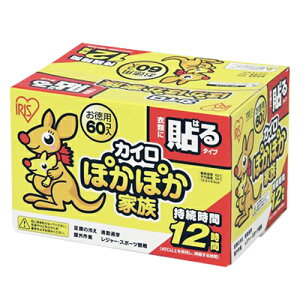 ACXI[} ۂۂƑ\郌M[60R@{