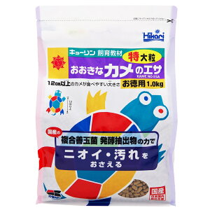 L[ ȃJ̃GT嗱1kg