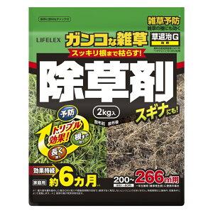 R[i IWi ZFw| ގG 2kg 200`266m2p i61؁`80؁j ʎ6 XMiɂ iƒpj