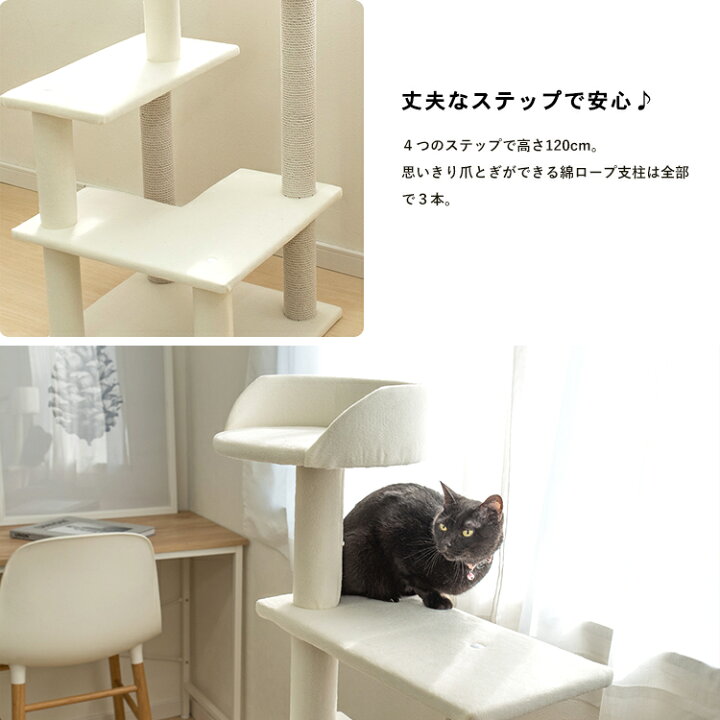 291円 【驚きの価格が実現!】 TOTO リング TH97580 291円 【驚きの価格が実現!】 TOTO リング TH97580