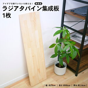 R[iIWipCWށiWA^j@250×18×910mm
