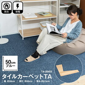 楽天市場 Eコーナン カーペットの通販