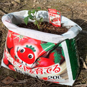 トマト プランター 培養土 用土の人気商品 通販 価格比較 価格 Com