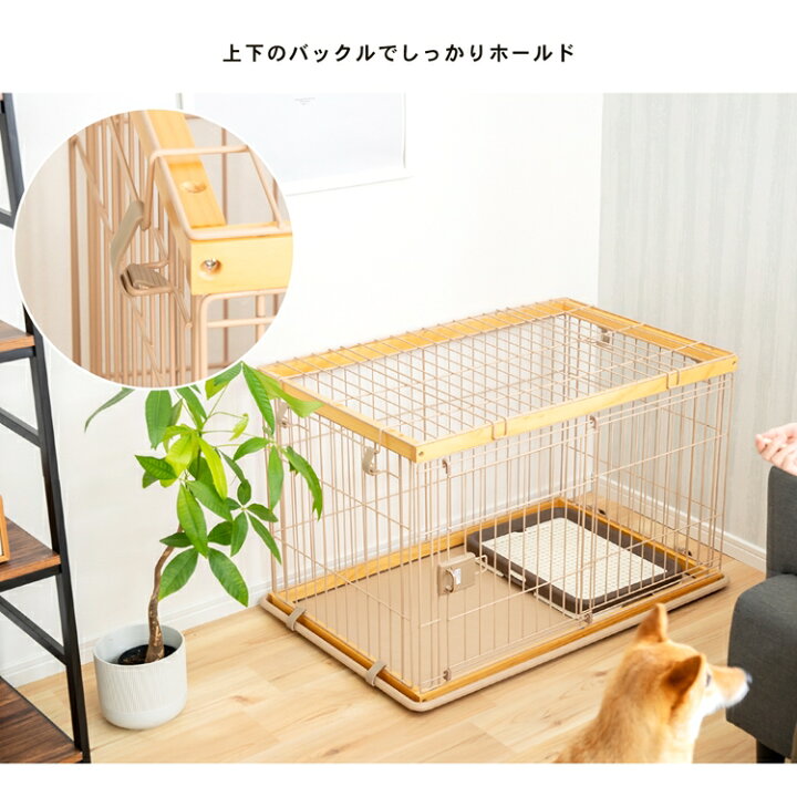 現品 ペットサークル ｍｉｎｉ ブラウン ペットケージ 折りたたみ 犬 犬小屋 サークル ケージ ハウス コーナン Shipsctc Org