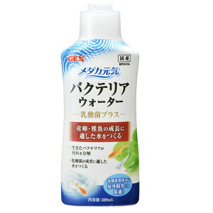GEX _JC@oNeAEH[^[@300mL70×s46×178mm