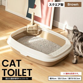 ≪あす楽対応≫キャットトイレ　スクエアBR 猫 トイレ 本体 ネコトイレ 猫用トイレ キャットトイレ しつけ 猫砂 コーナン