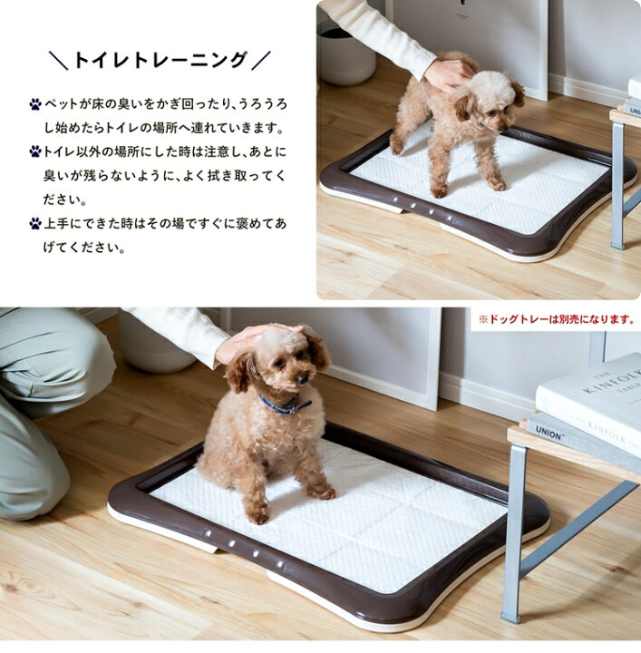 楽天市場 あす楽対応 コーナン オリジナル 薄型ペットシーツ ワイド ４００枚 通販限定品 コーナンｅショップ 楽天市場店