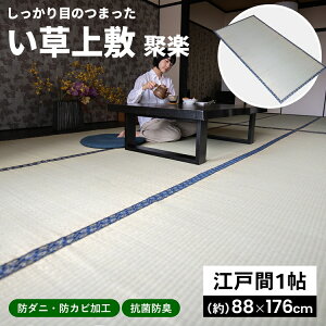 �R�[�i�� �I���W�i�� LIFELEX ������~�@�ڊy�@�]�ˊ� 1����88×176cm