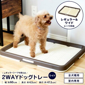 y11/25() Iōő100%|CgobN vGg[zR[i IWi LIFELEX 炭炭hbOg[ Ch 2WAY AeB[NzCg/uE