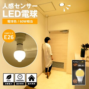 R[i IWi PortTech lZTLEDCg60W dF PAS60L26