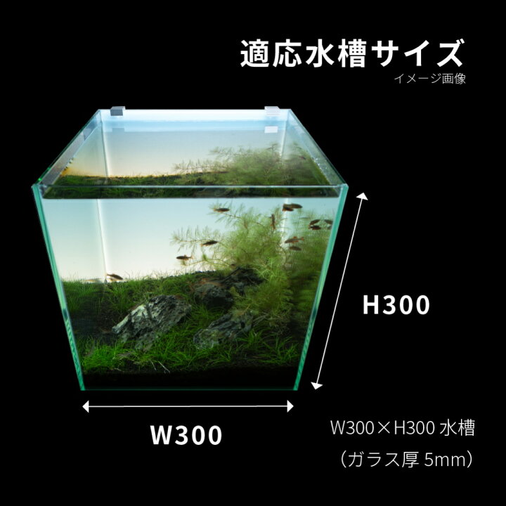 楽天市場 あす楽対応 Esaqua 幅30cm水槽用 調光式 Ledバックスクリーンライト ｗ300ｘｈ300ｘｄ7mm ガラス厚5mm対応 コーナンｅショップ 楽天市場店