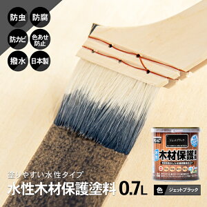 R[i IWi PROACT ؍ޕیh 0D7L WFbgubN