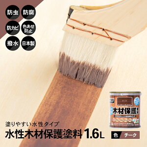 R[i IWi PROACT ؍ޕیh 1D6L `[N