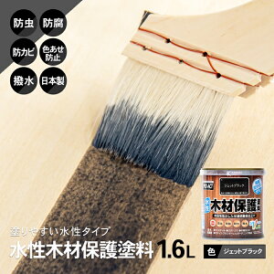 R[i IWi PROACT ؍ޕیh 1D6L WFbgubN