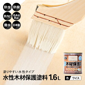 R[i IWi PROACT ؍ޕیh 1D6L CX