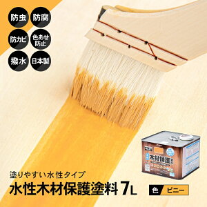 R[i IWi PROACT ؍ޕیh 7L sj[