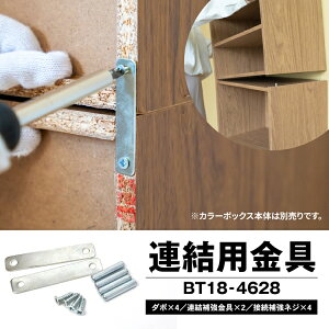 y|Cg3{ 10/30`10/31܂ŁzR[i IWi LIFELEX Ap@BT18|4628