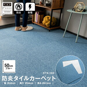 ^CJ[ybg 50×50 Pi h Y { 􂦂  ^C}bg JbgOK d n u  F  S14F u[ ` 50cm R[i IWi