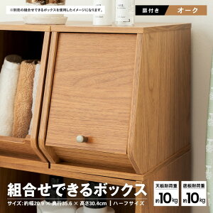 R[i IWi LIFELEX gł{bNXtbv@n[t@I[N