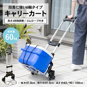 R[i IWi LIFELEX 6փL[J[g@LFX10|6872@
