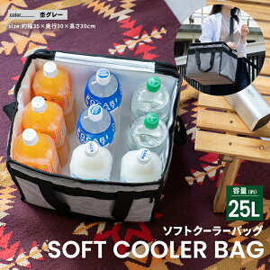 N[[{bNX ۗobO \tgN[[obO 25L  O[  Lv  킢 ܂肽 ^ e N[[BOX N[[oXPbg AEghA sNjbN yb