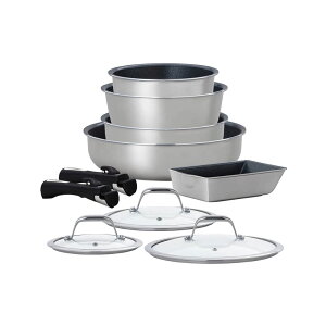 _ChOCX IHΉ 10_Zbg DG-S10S [Vo[]