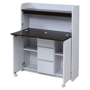 y[J[zWFCPCv ȃXy[XCeBOfXN@FWD|0278|WHDBzCg/_[NuE 90D0×s31D5`60D5×115D5cm