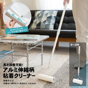 �y�|�C���g5�{ 3/10 (��) ����z�R�[�i���I���W�i��LIFELEX�@�A���~�L�k���@�S���N���[�i�[�@�{�̃P�[�X�t���@ZH21�|3053