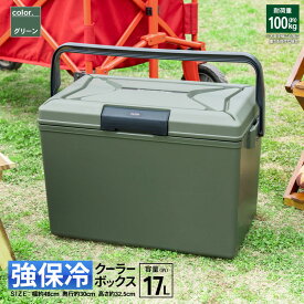 コーナンオリジナル SOUTHERNPORT 強保冷クーラーボックス　17L　GR