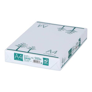 R[iIWi LIFELEX@A4FRs[p@500