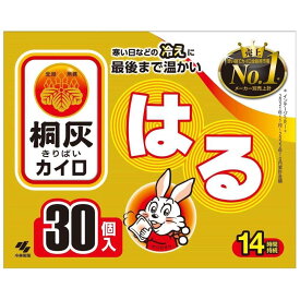 桐灰化学　桐灰カイロ　貼る30P